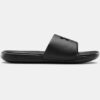 Ansa Fixed Slides Ansa Fixed Slides
