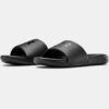 Ansa Fixed Slides Ansa Fixed Slides
