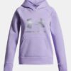 Mikina Rival Fleece Shimmer