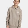 Mikina s kapucí Icon Fleece