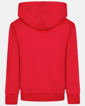 Mikina s kapucí Rival Fleece Print Fill