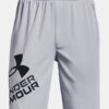 Prototype 2.0 Logo Shorts Prototype 2.0 Logo Shorts